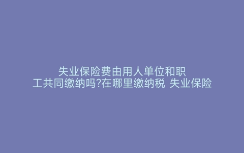 失业保险费由用人单位和职工共同缴纳吗?在哪里缴纳税 失业保险费由用人单位和职工共同缴纳吗?在哪里缴纳的 失业保险费由用人单位和职工共同缴纳吗 在哪里缴纳