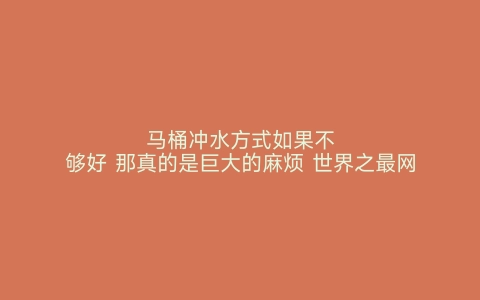 马桶冲水方式如果不够好 那真的是巨大的麻烦 世界之最网