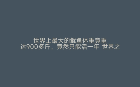 世界上最大的鱿鱼体重竟重达900多斤，竟然只能活一年 世界之最网